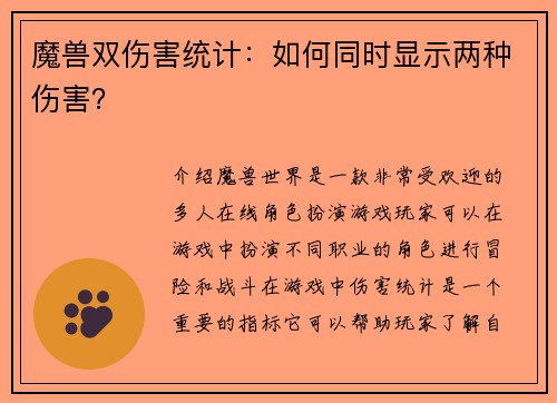 魔兽双伤害统计：如何同时显示两种伤害？